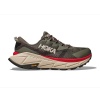 Кроссовки мужские HOKA M SKYLINE-FLOAT X Slate / Oat Milk